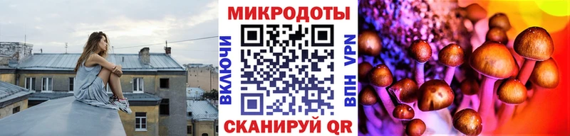 блэк спрут   нарко площадка наркотические препараты  Псилоцибиновые грибы мицелий  Астрахань 